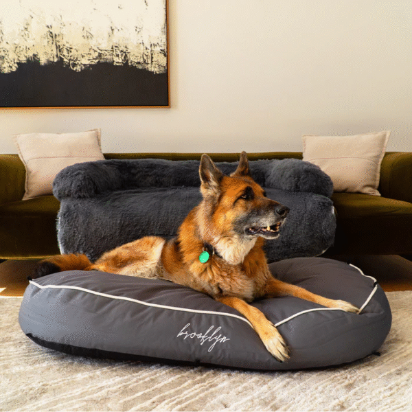 Creating a Peaceful Sleep Haven With a Calming Pet Bed for Dogs